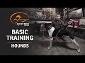 Basic Training Hounds