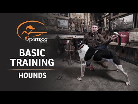 Basic Training :: Hounds
