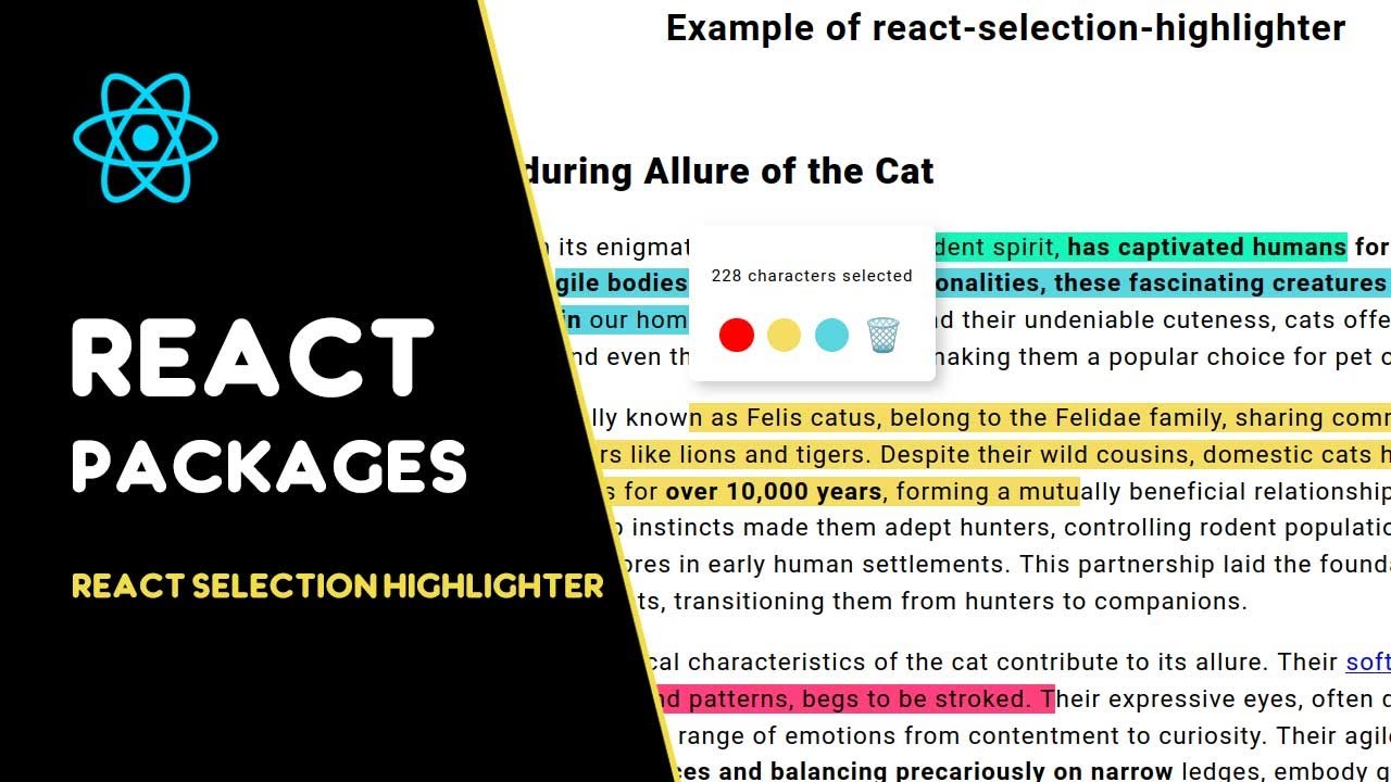 Enhance Text Selection with React Selection Highlighter