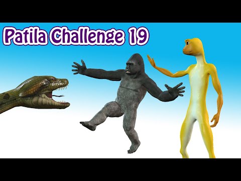 Patila Challenge 19. Patila - Missed The Stranger Funny Gorilla & Anaconda Animated Short Film.