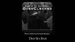 Danny Baranowsky - Deep Sea Bass (PrototypeRaptor Extended ReMix)