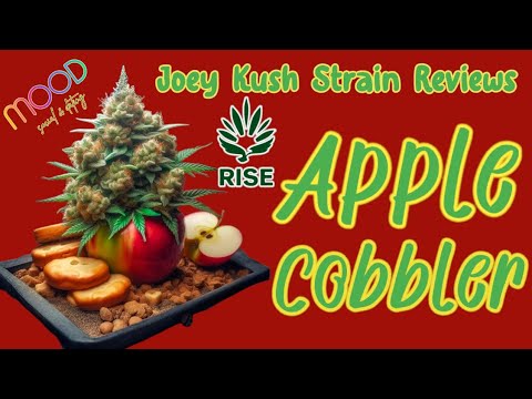 Apple Cobbler Strain Allbud