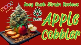 RISE Apple Cobbler Strain Review