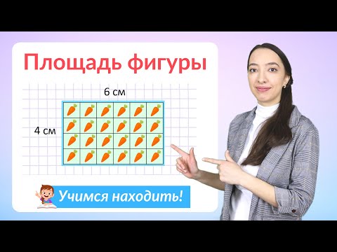 Что такое площадь. Как найти площадь прямоугольника?