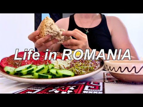Living in ROMANIA: Life in an Old Town with 2 cats