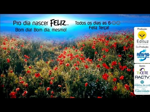 Pro dia nascer Feliz... Bom dia! Bom dia, mesmo! #361