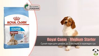 Royal Canin Medium Starter 1 кг (2993010) - відео 1