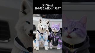 実写版白上フブキ #白上フブキ  #大空スバル  #猫又おかゆ