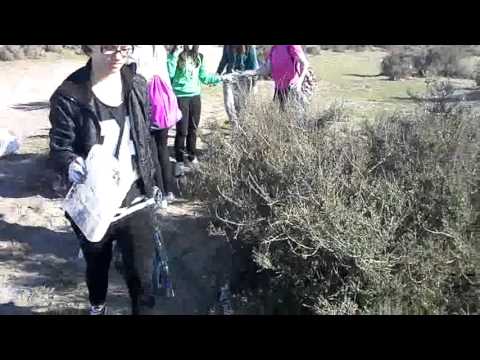 Recigida residuos IES ALQUIAN