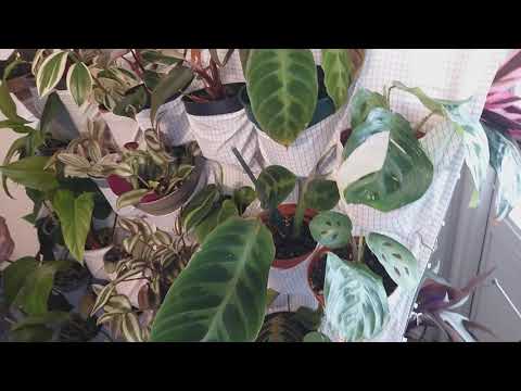 VÄXTVÄGG AV PRYLAR FRÅN IKEA. BERÄTTAR HÄR  HUR JAG GJORDE VÄGGEN.