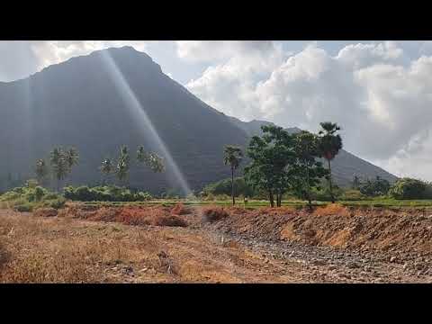  Agricultural Land 6 Acre for Sale in Thuraiyur, Tiruchirappalli