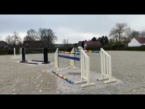 Sold China 🇨🇳 Mare 13 years old  Cancara  experience 1.40 / 1.45 m top school master