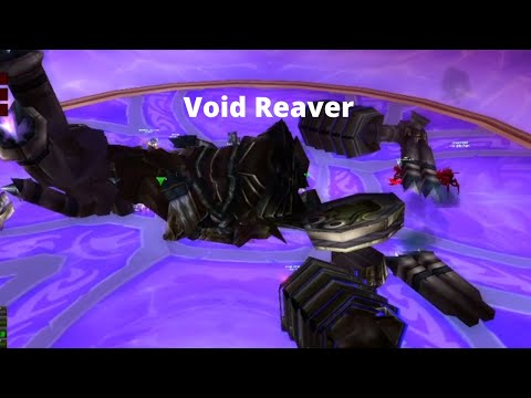 TBC classic Void Reaver- BM hunter