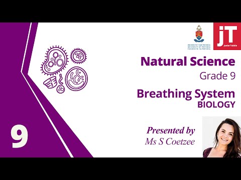Grade 9 Natural Science - Biology - Breathing System