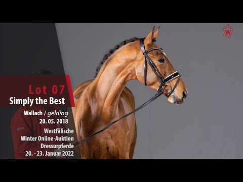 Winter Online-Auktion Lot 7 Simply the Best Wallach v. Sir Heinrich - Fürst Piccolo