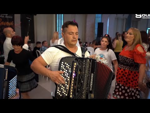 DARKO ANTIC x LAVOVI - ZEMLJOTRES U KRALJEVU (2022)