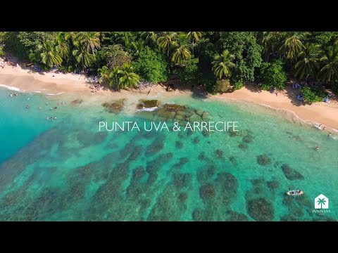 Best beach on Costa Rica’s Caribbean coast, Punta Uva Beach