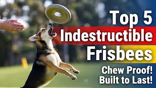 Top 5 best dog frisbee indestructible review guide 2026 late