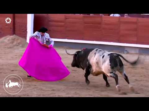 El Matador Más Chingón - Roca Rey