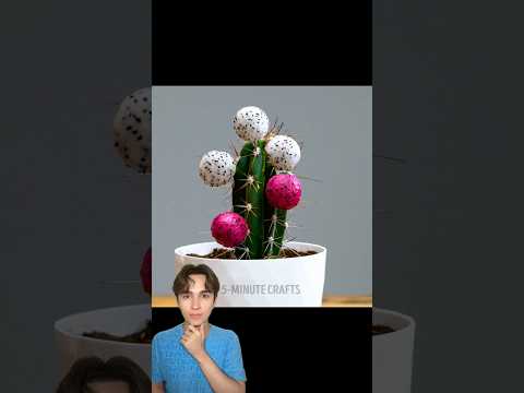 Radmiru new hack!🤯 #shorts