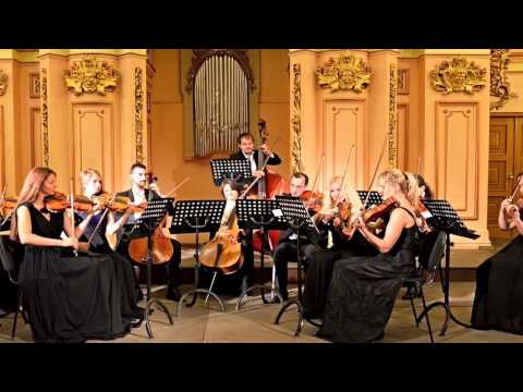 STRINGS Sonority of Life