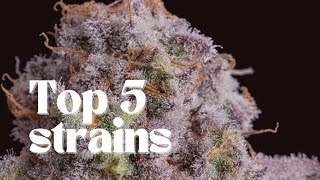 Top 5 Strongest Strains of 2019