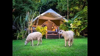 preview picture of video 'Beautiful Riverside Tented Camp Hotel Near HellFire Pass Museum & Trail in Kanchanaburi, Thailand'