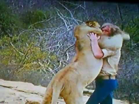 Christian the Lion Reunion Video