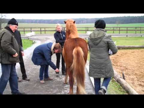 FIZO Kronshof 2011 - Exterieur - www.isibless.de