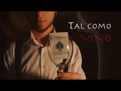 "Tal como Vino" por Rúbi Férez