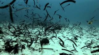 Endless - Wolfgang Frühwirth