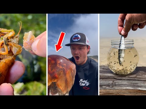 SATISFYING Sea Animal Rescue Compilation! *NEW* 