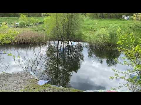 Quincy, MA! - Quincy Quarries Reservation!