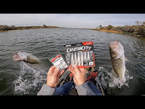 Rapala Freeloader - New BAIT on the Lake Review