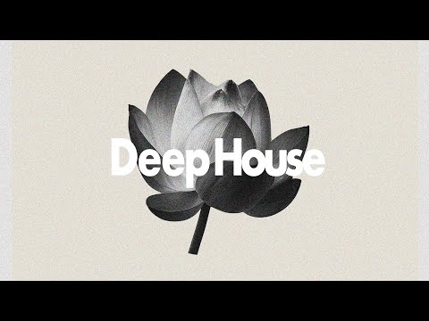 Midnight Flow Mix | Deep House Grooves for Late Night Serenity