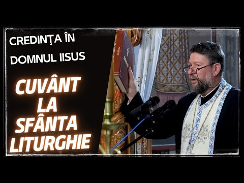 Pr. Daniel Avram - Învierea fiicei lui Iair  |06.11.2022|