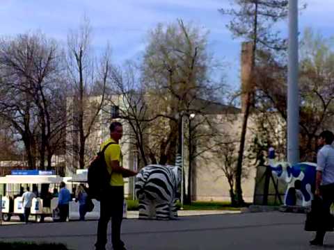 Construmán, egy kis mellékes meló:D Csak fizetés nem volt.