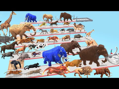 Which Animal vs Prehistoric Mammals Speed Race Run Zigzag Down Course! from Outside Epic Animal Race