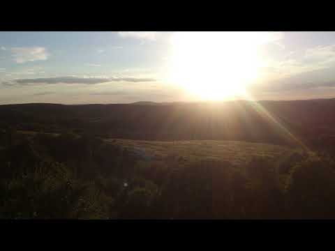 OhmikRon & TapeAir - Egy bús nézésétől a fiává lettem - Illyés Gyula Babitshoz