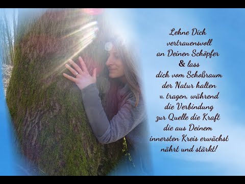 Eine Botschaft von den Bäumen - Bestärkt jetzt besonders Euren innersten Kreis!