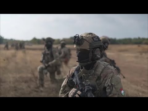 Hungarian Army - James Bond is fake Orbán is real