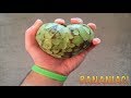 How To Eat A Cherimoya Fruit (Custard Apple ...