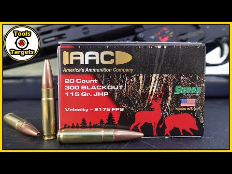 Hog Medicine!...AAC 300 Blackout Sierra Sports Master AMMO Ballistic Gel Test and Review!