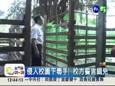 是誰這麼狠心?! 嚇死公鹿傷母鹿