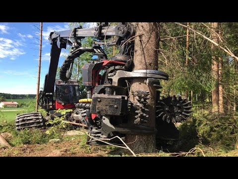 Incredible Tree Cutting Machines | German Technology