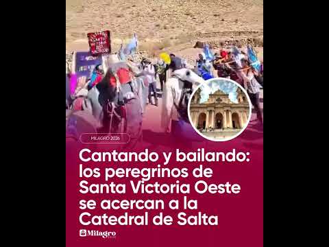 🎶🙏 ¡A PURO CANTO Y BAILE! PEREGRINOS DE SANTA VICTORIA OESTE LLEGAN A LA CATEDRAL | #QUEPASASALTA
