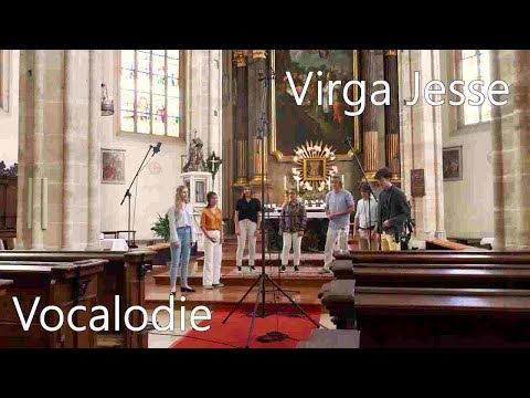 Virga Jesse - A. Bruckner [live]