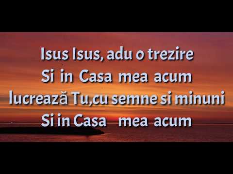 Mili Din Barbulesti  - Isus Isus , Adu o Trezire (Official Video 2020)