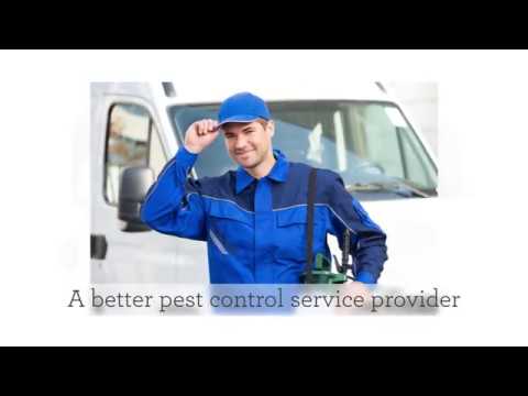 Pest Control Services in Indio, CA - Bug Guys Pest Control