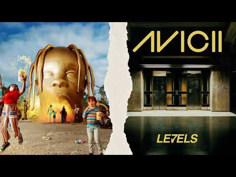 Butterfly Effect x Levels | Travis Scott x Avicii | Mashup | MAD DEN